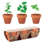 Terracotta 3 herb pot set | FLOWERPOT