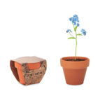 Terracotta pot 'forget me not' | FORGET ME NOT