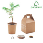 Pine tree set | GROWTREE™