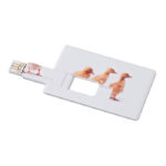 Creditcard. USB flash 32GB | MEMORAMA