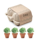 Egg carton growing kit | CRESS