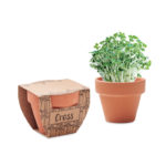 Terracotta pot cress seeds | CRESS POT