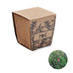 Mint seeds growing kit | MINT KIT