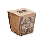Mint seeds growing kit | MINT KIT - Image 4