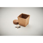 Sunflower growing kit | SUNFLOWER KIT - Image 3
