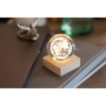 LED globe glass ball | GLOBE LIGHT - Image 5